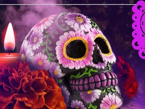 Intro Image